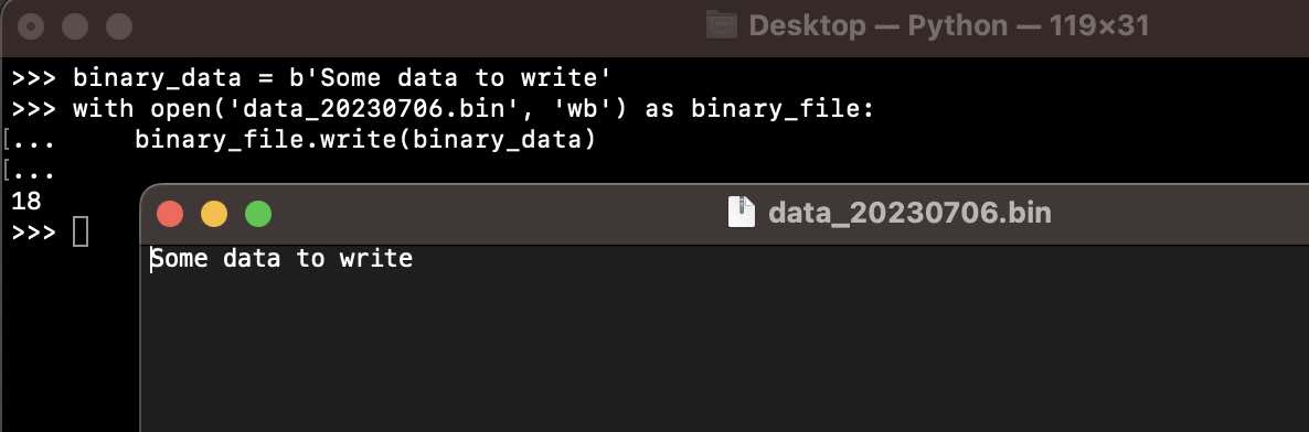 Write data to binary file using Python Example